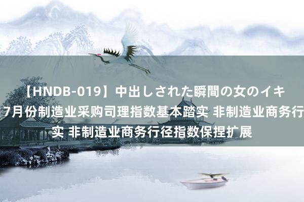 【HNDB-019】中出しされた瞬間の女のイキ顔 国度统计局：7月份制造业采购司理指数基本踏实 非制造业商务行径指数保捏扩展