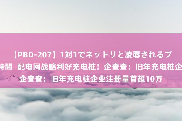 【PBD-207】1対1でネットリと凌辱されるプレミア女優たち 8時間  配电网战略利好充电桩！企查查：旧年充电桩企业注册量首超10万