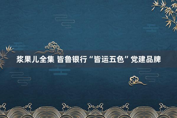 浆果儿全集 皆鲁银行“皆运五色”党建品牌