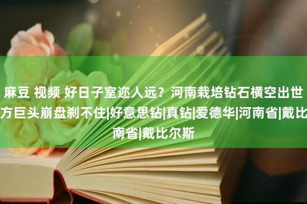 麻豆 视频 好日子室迩人远？河南栽培钻石横空出世，西方巨头崩盘刹不住|好意思钻|真钻|爱德华|河南省|戴比尔斯