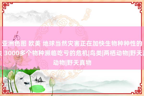 亚洲色图 欧美 地球当然灾害正在加快生物种种性的丧失 3000多个物种濒临吃亏的危机|鸟类|两栖动物|野天真物