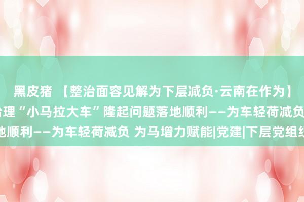 黑皮猪 【整治面容见解为下层减负·云南在作为】云南省推动破解下层治理“小马拉大车”隆起问题落地顺利——为车轻荷减负 为马增力赋能|党建|下层党组织