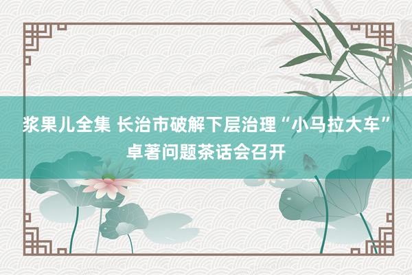 浆果儿全集 长治市破解下层治理“小马拉大车”卓著问题茶话会召开