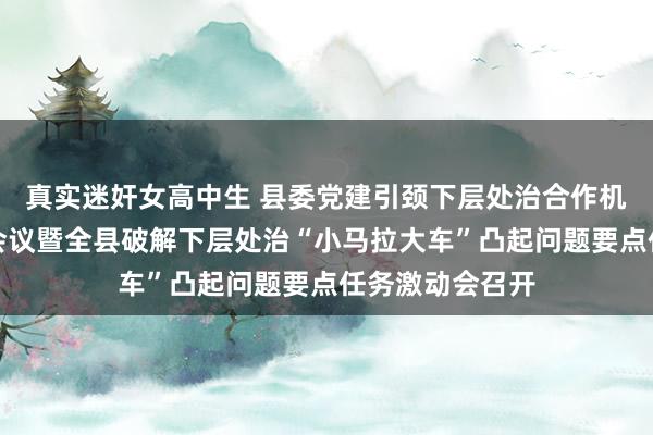 真实迷奸女高中生 县委党建引颈下层处治合作机制第二次全体会议暨全县破解下层处治“小马拉大车”凸起问题要点任务激动会召开