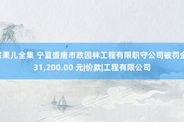 浆果儿全集 宁夏盛唐市政园林工程有限职守公司被罚金 31，200.00 元|价款|工程有限公司